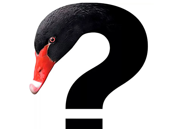 «Чёрные лебеди» глобальной логистики